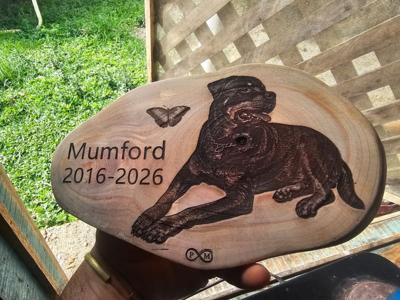 Mumford, 2016 a 2026. Recuerdo grabado en rodaja de madera.